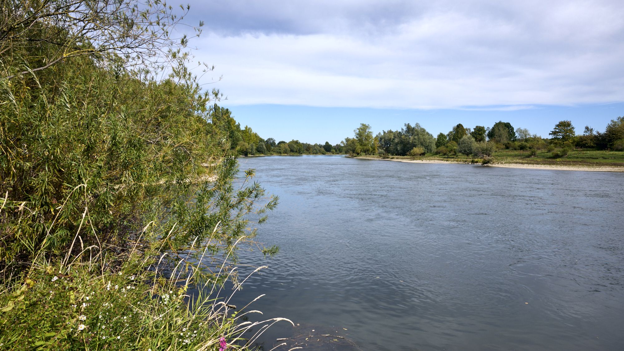 Die Weser mit Aue bei Petershagen.