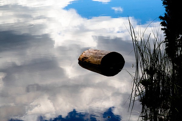 Ein kurzer Baumstamm schwimmt in Gewässer, in welchem sich der Wolkendurchzogene Himmel spiegelt