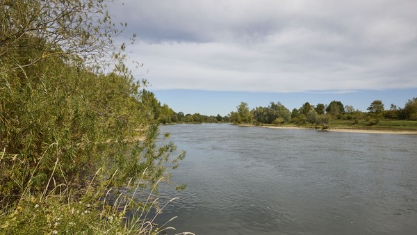 Blick auf einen Fluss mit bewachsenen Ufern