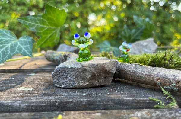 Glasfrosch sitzt auf einem Stein