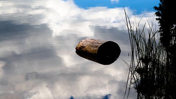 Ein Baumstamm liegt in einem Gewässer, in dem sich der teils bewölkte Himmel spiegelt.