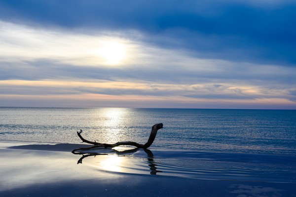 Ein Ast liegt am Strand, im Hintergrund ist ein sich im Meer spiegelnder Sonnenuntergang zu sehen